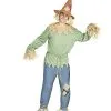 Spirit Halloween Adult Scarecrow Costume -Halloween Shop 01312115 a